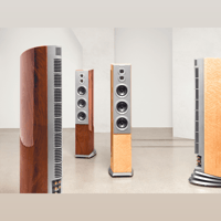 Audiovector R 10 variant 7