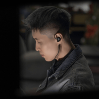 LETSHUOER Mystic 8 IEM 8 BA Drivers in-ear Monitor  Hi-Fi earphones(4.4mm) variant 13