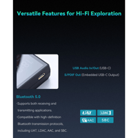 Cayin N6iii variant 32