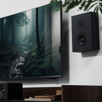 Argon Audio FORUS 4 WALL variant 10