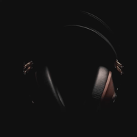 Meze Audio 99 CLASSICS WALNUT SILVER variant 6