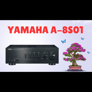 Thumbnail of the video review https://www.youtube.com/watch?v=qP-QEDHLN5Q