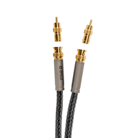 Ansuz Acoustics Digitalz - Titanium variant 2