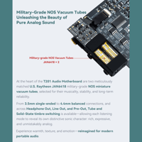 Cayin T201 Audio Motherboard variant 4