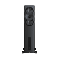 Perlisten A3t variant 1