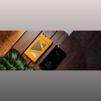 Cayin N8ii Leather Case variant 5