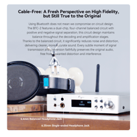 Cayin BTC-2 variant 4