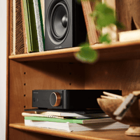 Argon Audio SA2 variant 16