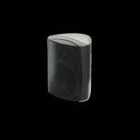 MartinLogan ML-45AW variant 1