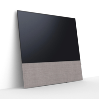 Canvas CANVAS front 65 variant 26