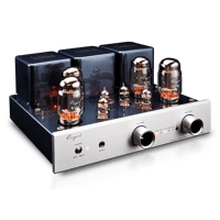 Cayin CS-55A variant 3