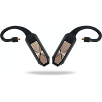 ifi Audio GO pod variant 5