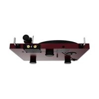 Pro-Ject Audio Systems Debut EVO 2 variant 5