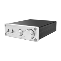 Aiyima AIYIMA A1001 | Class D Amplifier | Hifi Stereo Bass Amplifier variant 2