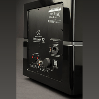 MartinLogan Dynamo 12 variant 28