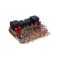 Unison Research Performance Anniversary variant 1