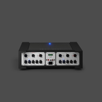 Ubiq AudioLab UBIQUITOUS 300B variant 3