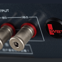 Cayin M-845D variant 7