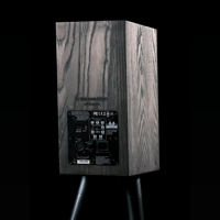 Buchardt Audio Anniversary 10 variant 2