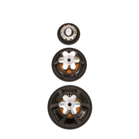 Xavian Virtuosa Anniversario variant 10