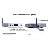 Cayin BTC-2 variant 6