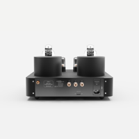 Fezz Audio Mira Ceti Mono Power Amplifier variant 17
