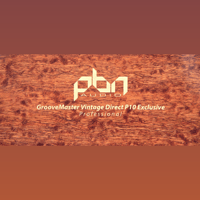 PBN Audio GrooveMaster Vintage Direct PBN P10 variant 5
