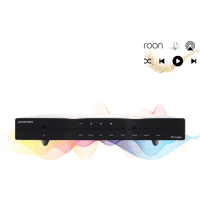 Denafrips Arcas Streamer variant 2