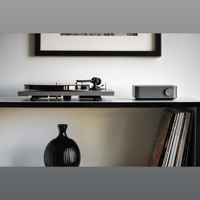 Pro-ject Audio Systems - USA Pro- Ject WiiM Phono Set variant 3