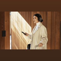 Mark Levinson № 5909 variant 15