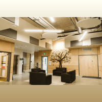 Primacoustic EcoScapes Clouds variant 6