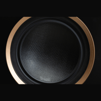 MartinLogan Motion MP10 variant 3