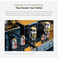 Cayin HA-6A MK2 variant 13