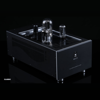 SW1x MPA IV “Aurora” Mono Power Amplifier variant 15