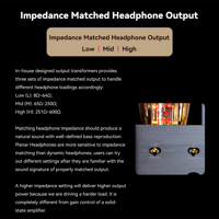 Cayin Soul 170HA variant 19