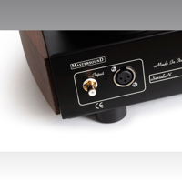 Mastersound Monoblock 845 (pair) variant 9