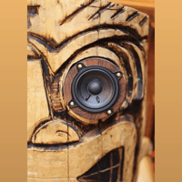 TIKI TUBE AMPS Phil and Lily variant 10