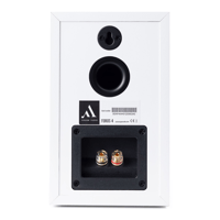 Argon Audio SA1 MK2 + FORUS 4 variant 16