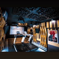 Vicoustic Flexi Wave Ultra variant 10