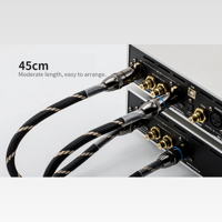 Cayin CS6-XLR variant 5