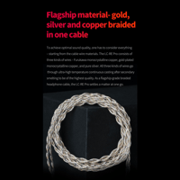 FiiO LC-RE Pro variant 2