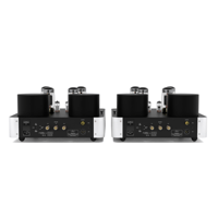 Fezz Audio Olympia Mono Power Amplifier variant 22