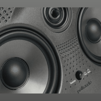 Polk Audio 255C-LS variant 6