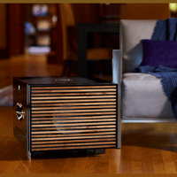 REL Acoustics Carbon Special Black Label variant 2