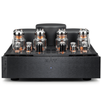 Balanced Audio Technology - BAT REX 3 Tube Amplifier variant 5