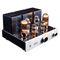 Cayin CS-845A variant 2