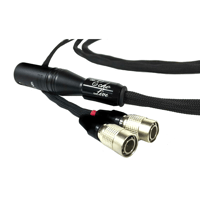 Tara Labs The Echo Live variant 1