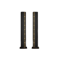 Steinway Lyngdorf LS studio variant 1