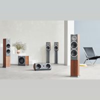 Audiovector R Sub variant 5