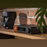 Ferrum WANDLA GoldenSound Edition variant 2